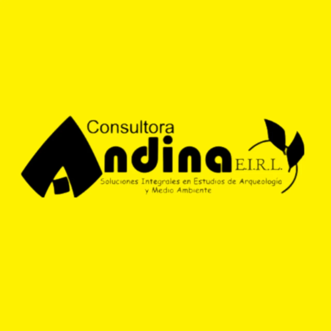 Consultora Andina